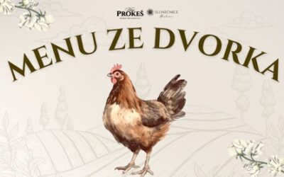 Menu ze dvorka