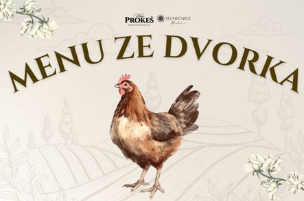 Menu ze dvorka